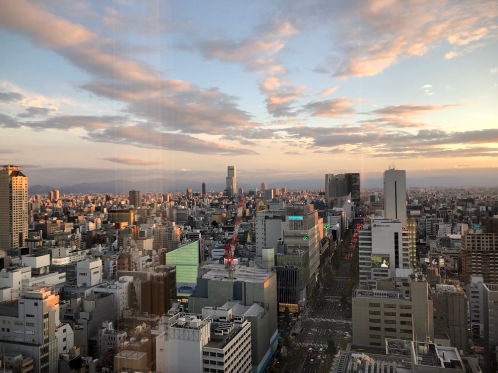 W Osaka room view