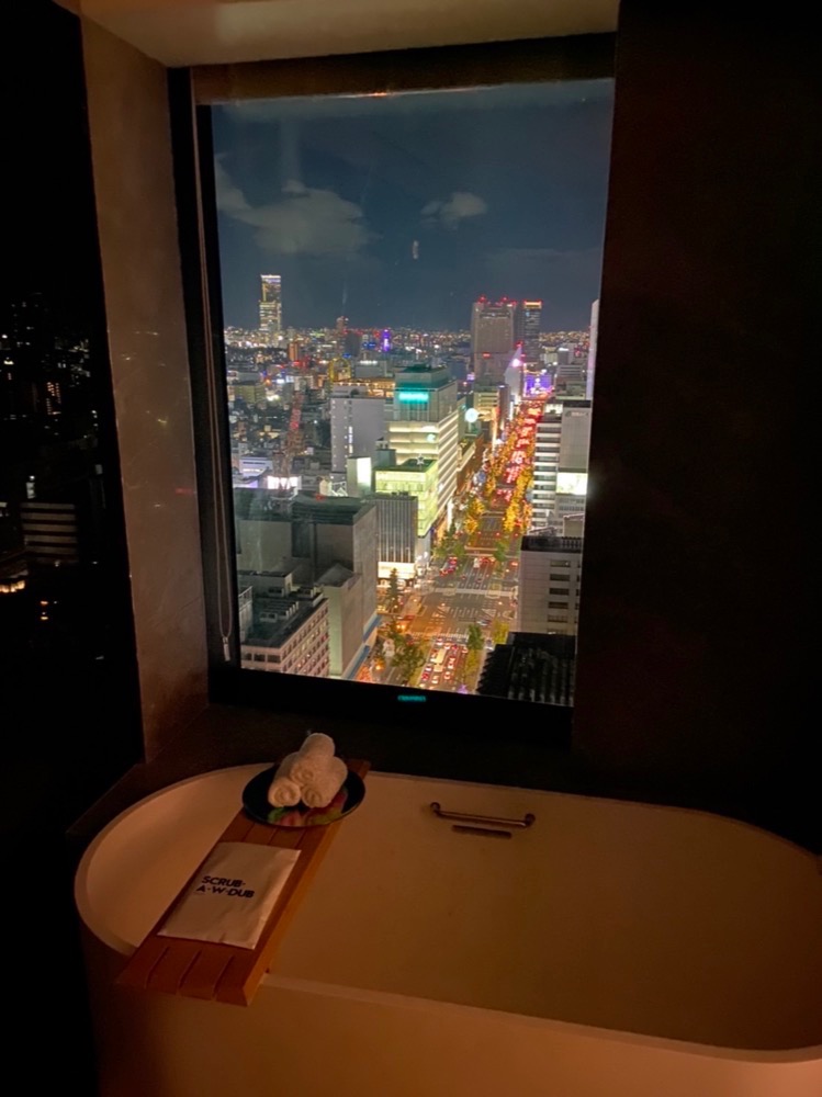 W Osaka room bath room night view